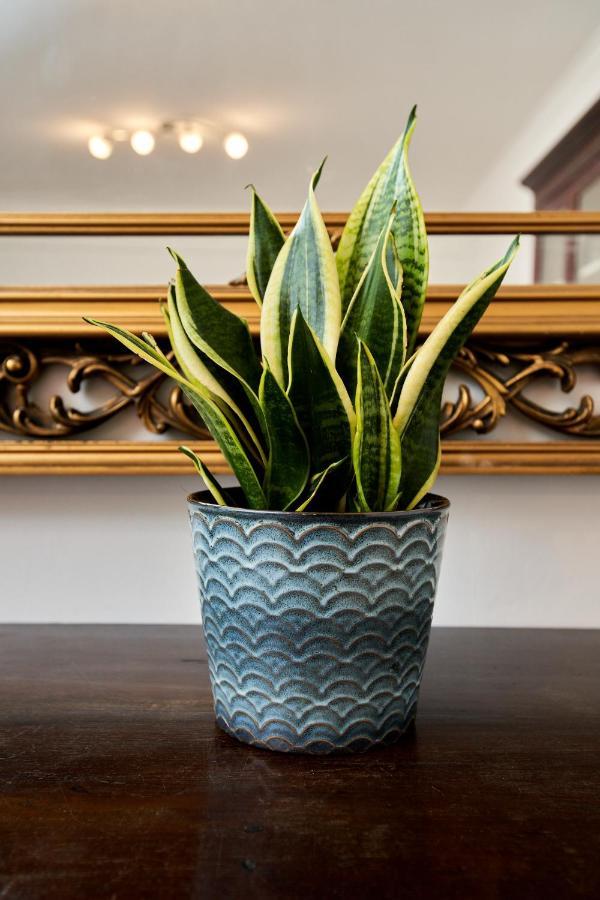 Old Fashion Pigneto - Luxurious Terrace & Comfort! Appartamento *