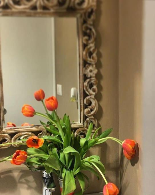 Interno 43 * Roma