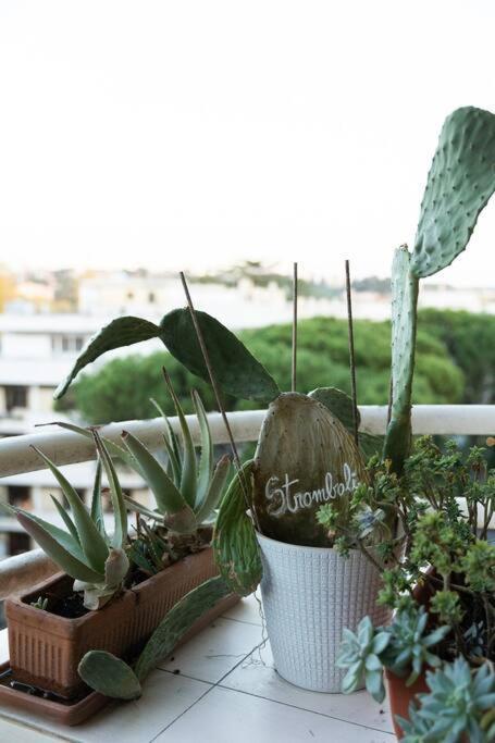 Casa 'ttaja - Mediterranean Eco-apartment Apartamento Roma