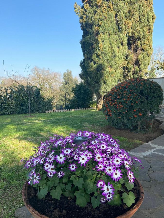 Villa Del Rubbio Roma