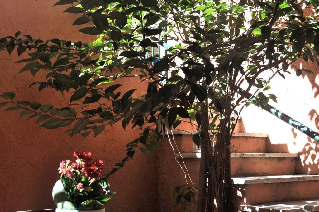 Appartamento Casa Con Giardinetto Al Centro Di