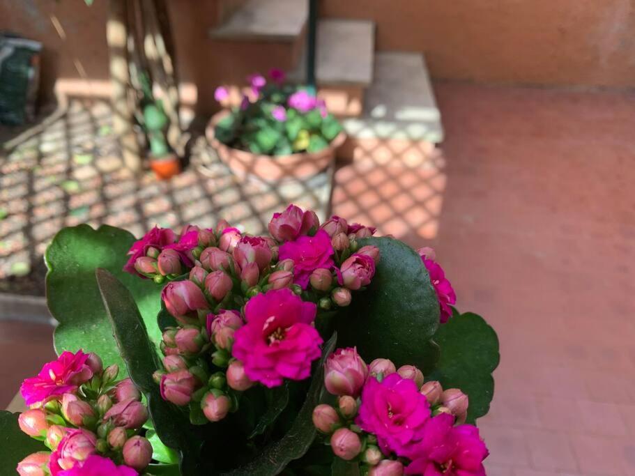 Appartamento Casa Con Giardinetto Al Centro Di *