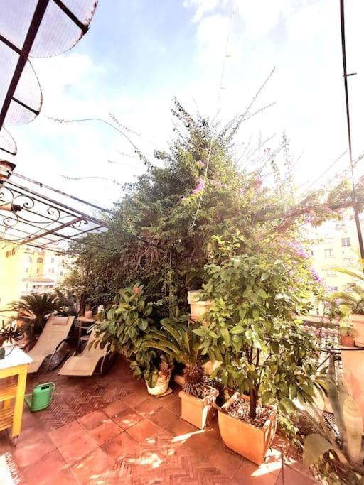 Le Terrazze Di Trastevere - Con Vasca Idromassaggio Apartamento *