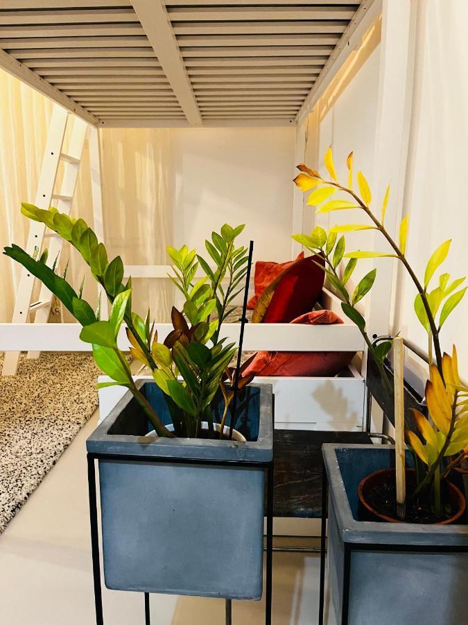 Sweet Life House Cavour Apartment