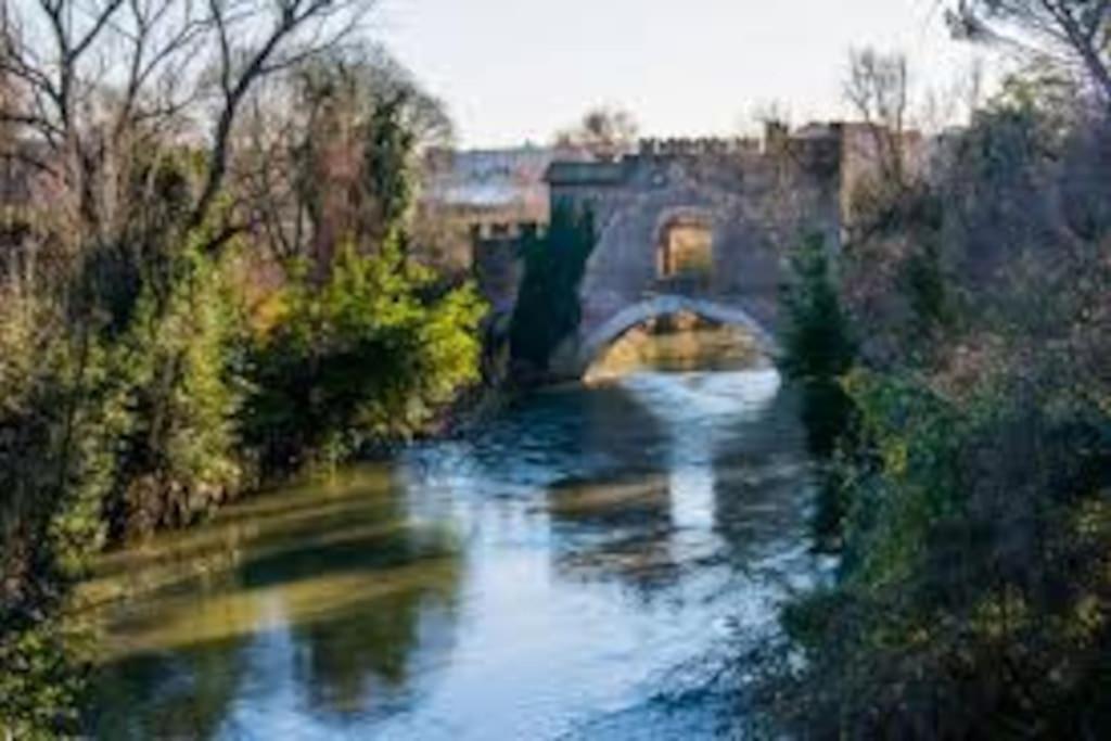 La Palma Degli Artisti Leilighet Roma