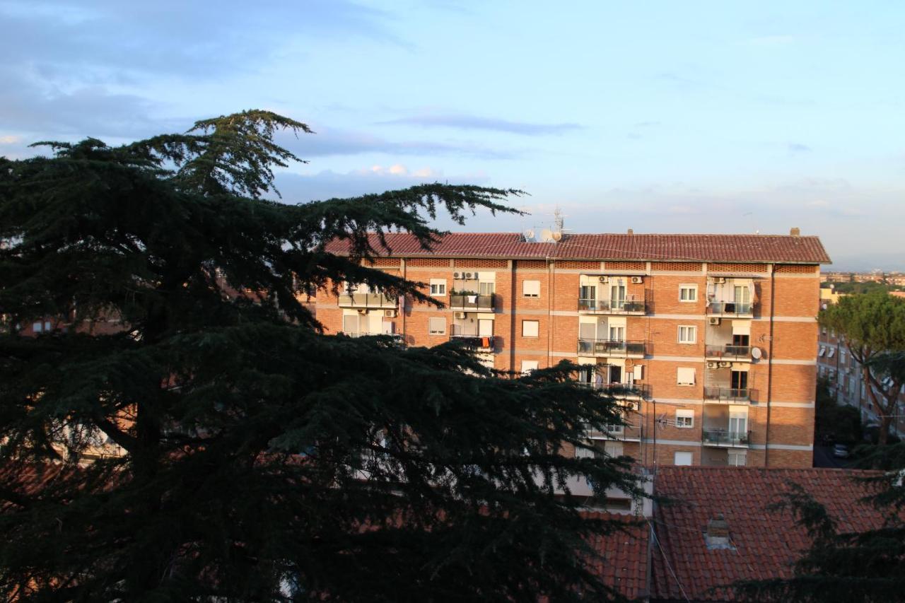 Vi Floor * Roma