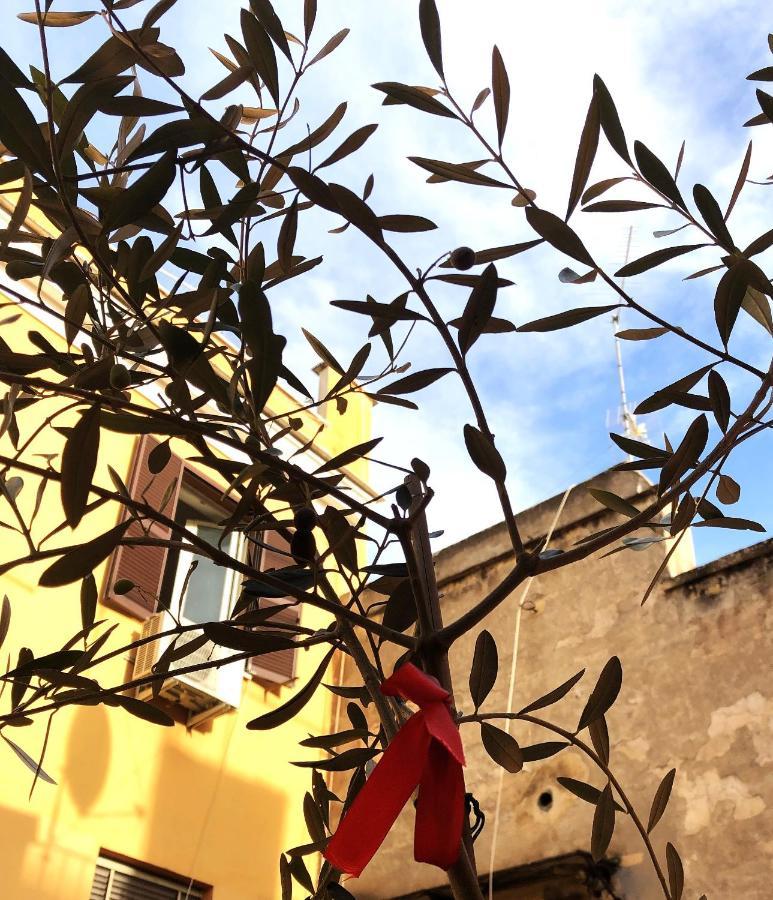 Maisonette Al Colosseo * Roma