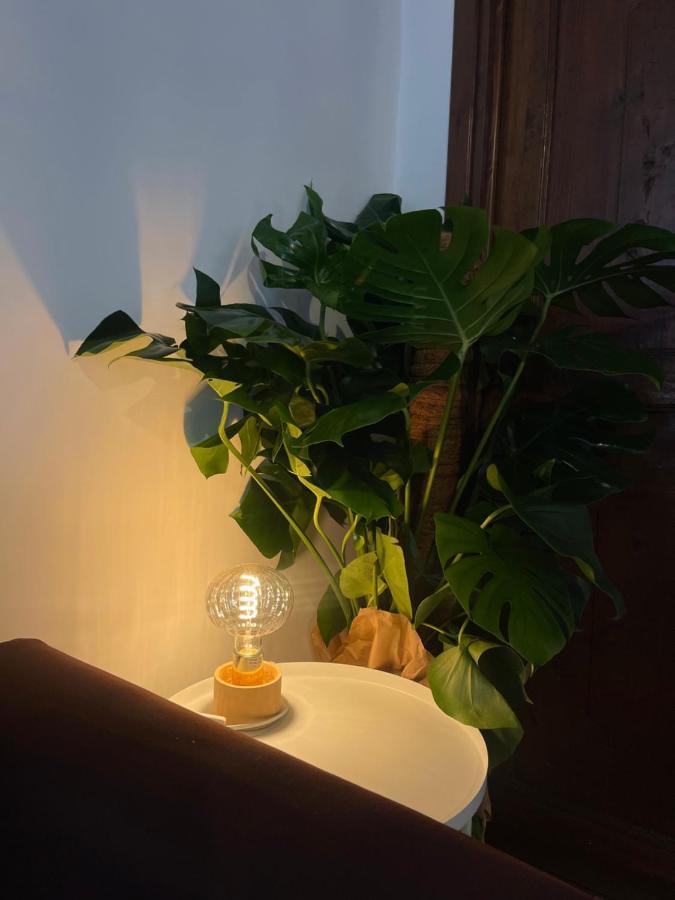 Apartment Rome's Navona *