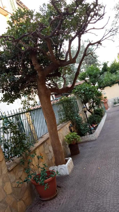 Casa Diana Roma