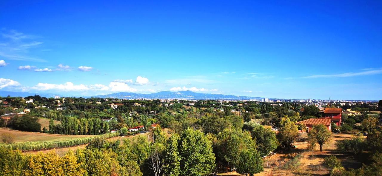 Apartment Cosy Penthouse Loft With Stunning View