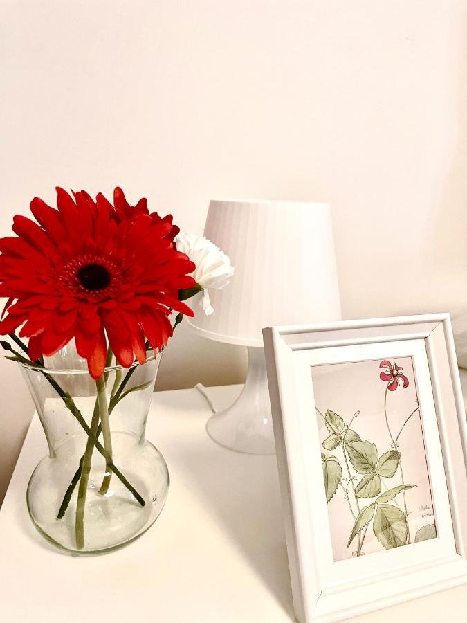 Homes - Monte 61 - Near Trastevere Appartamento *