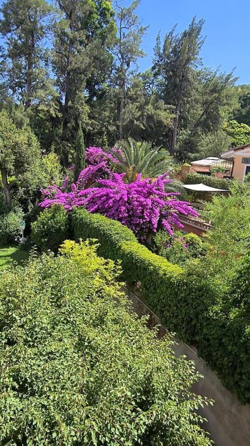 Bed & Breakfast Riari Roma