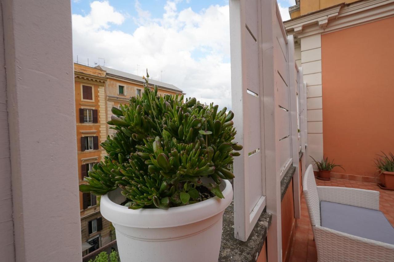Rooftop St. Peter *