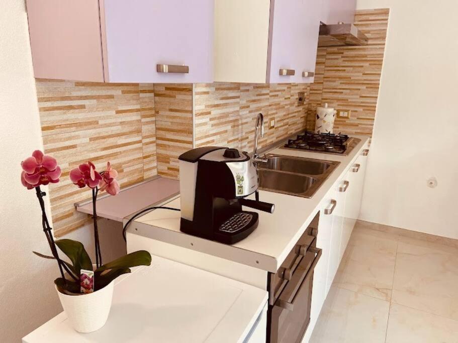 Apartment My In