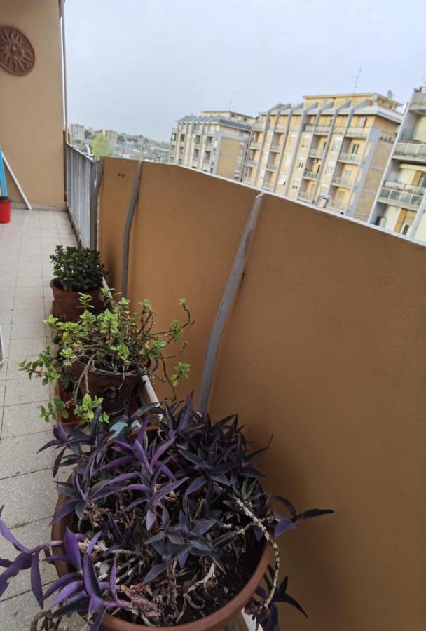 Apartamento Per Turisti E Famiglie Roma