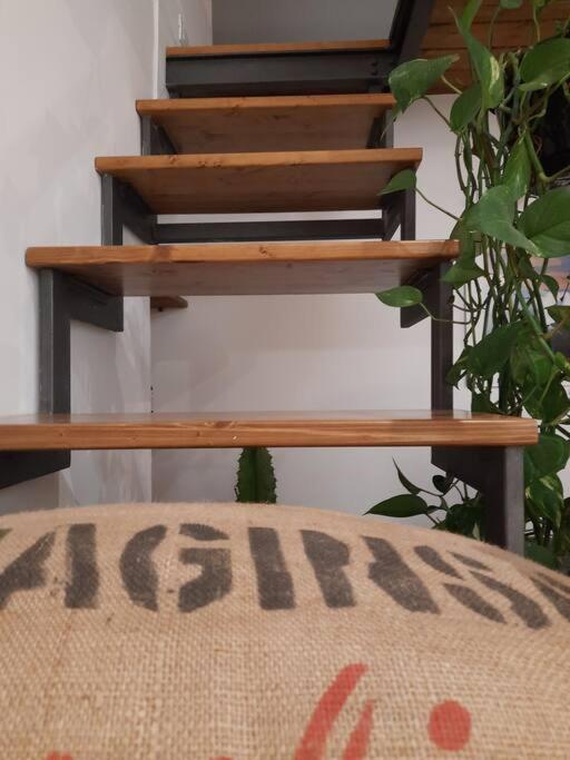 Trastevere St Ariabianca House Roma