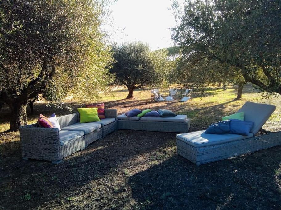 Residenza Nella Campagna Di Capitale. *