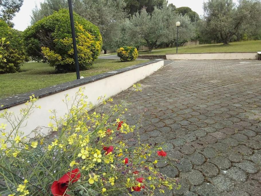 Residenza Nella Campagna Di Capitale. Roma