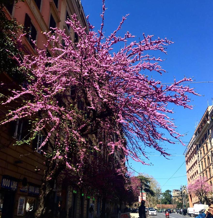 In Leilighet Roma