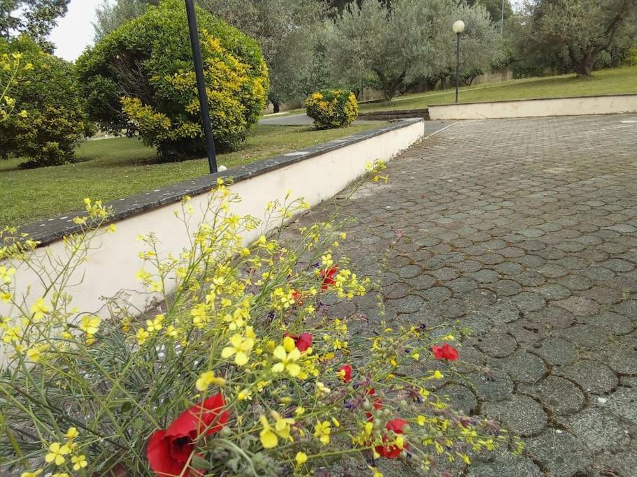 Residenza Nella Campagna Di Capitale. Casa vacanze Roma
