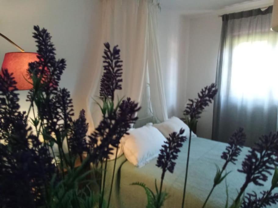 Casa vacanze Residenza Nella Campagna Di Capitale. *
