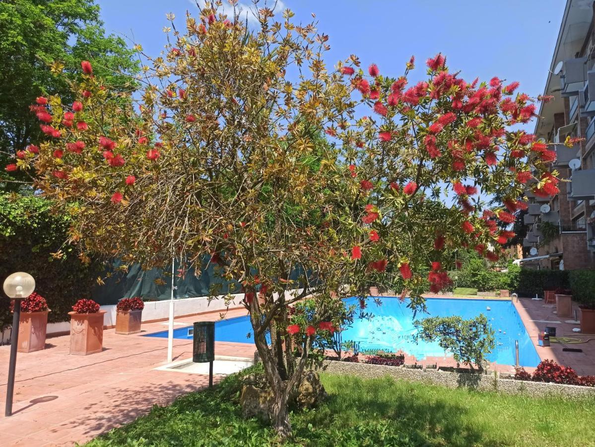 Aurelia Antica Terrace Free Pool And Parking Apartment
