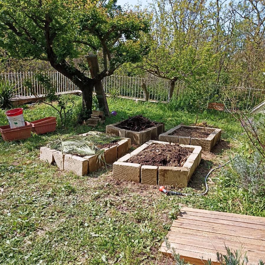Ripe'S Forest Garden Guest House Roma