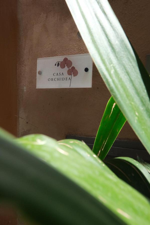 Casa Orchidea