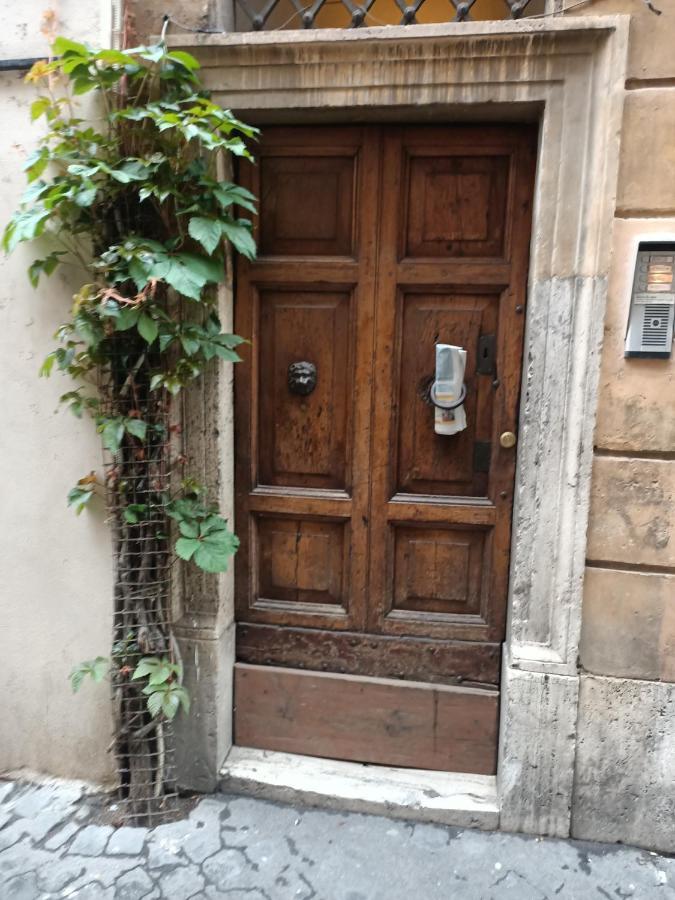 Apartamento Harmony In *