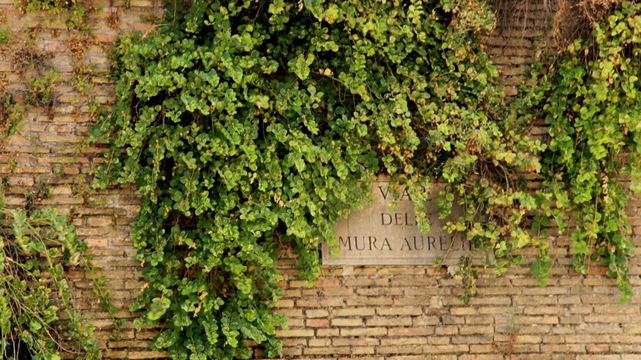 In Front Of The Vatican Apartamento Roma