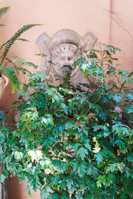 Babuino Terrace * Rom