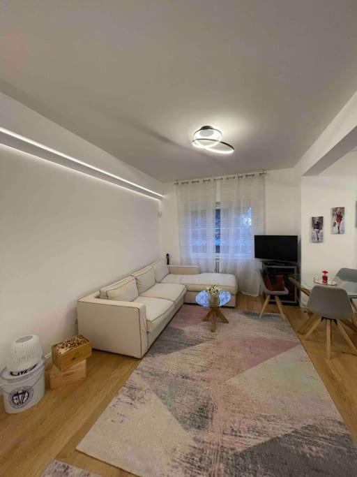 Monteverde Elegante E Moderno Apartamento Roma