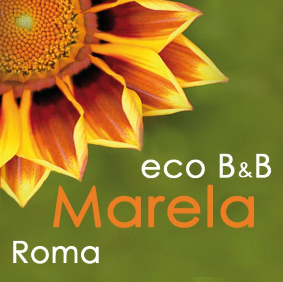 Eco Marela Roma