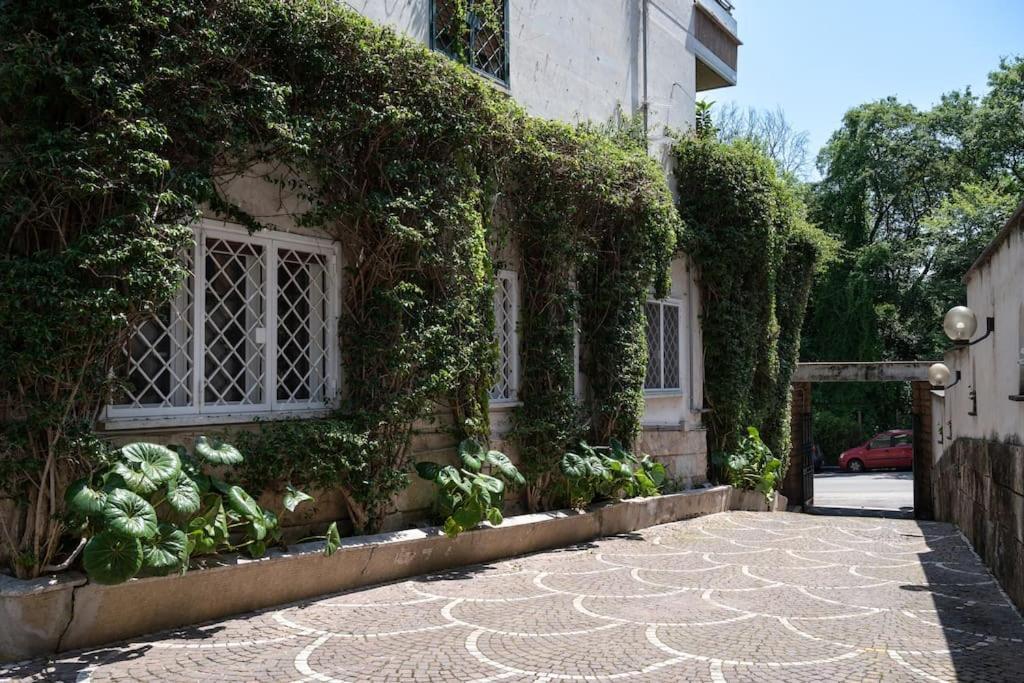 Casa Bouganville - St. Peter Romantic