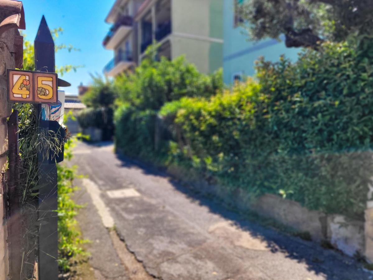 Green Home Roma