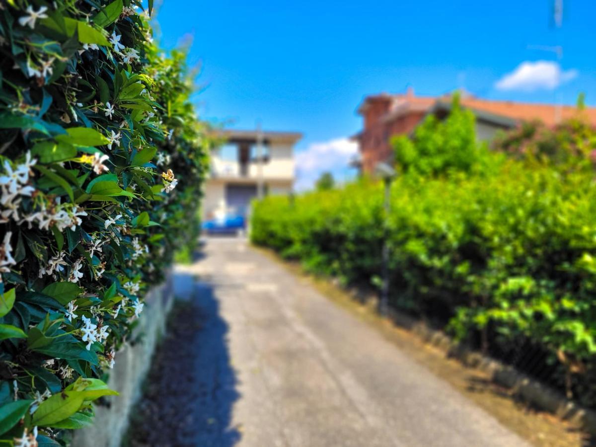 Green Home * Roma