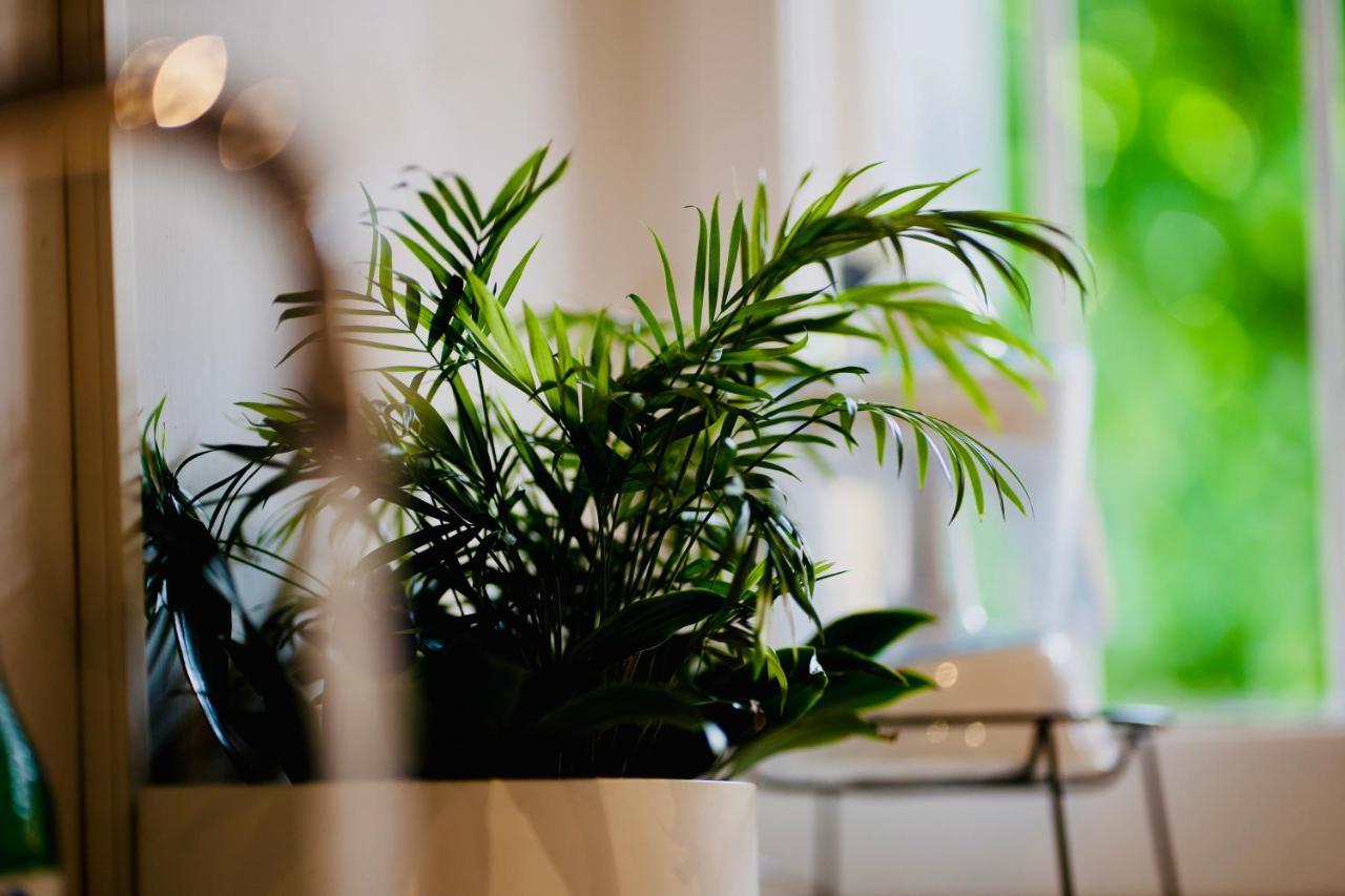 Plant House Eur Ferienhaus