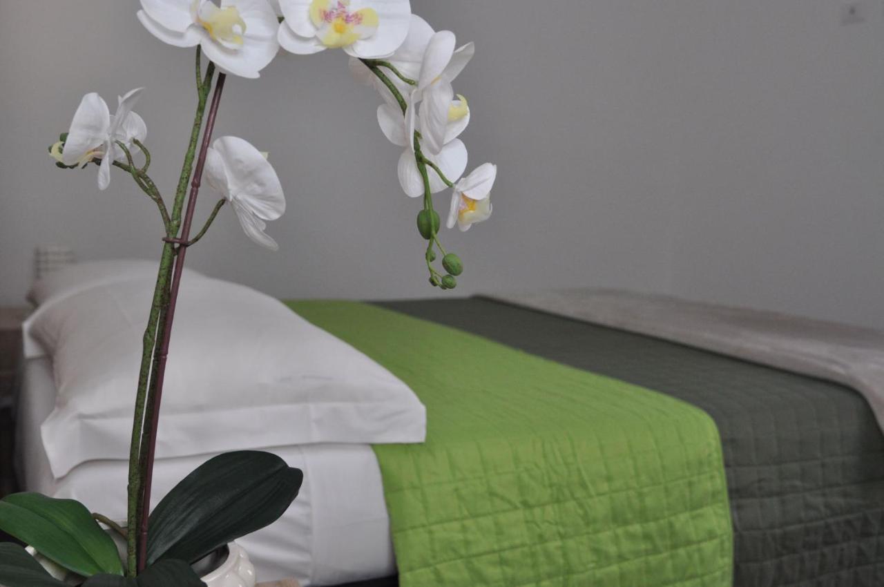 Apartamento Big House Colosseo
