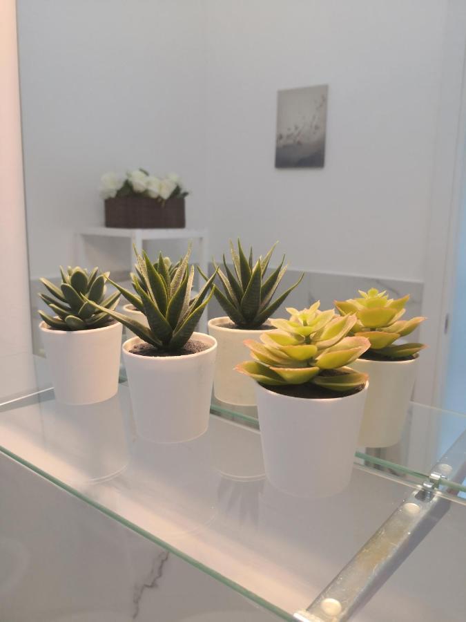 Appartamento Aurelia City Garden