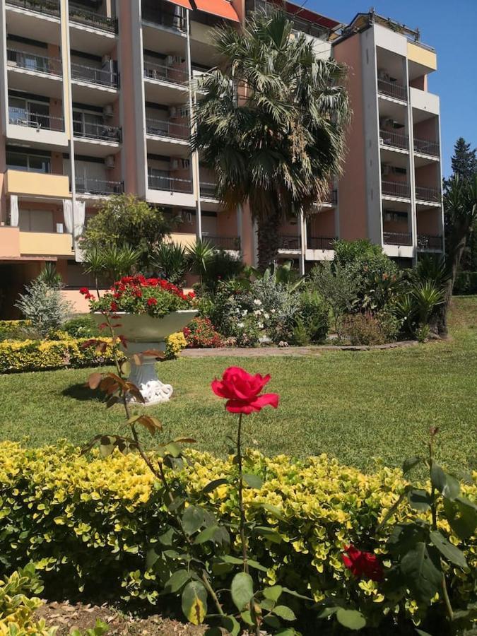 Aurelia City Garden *