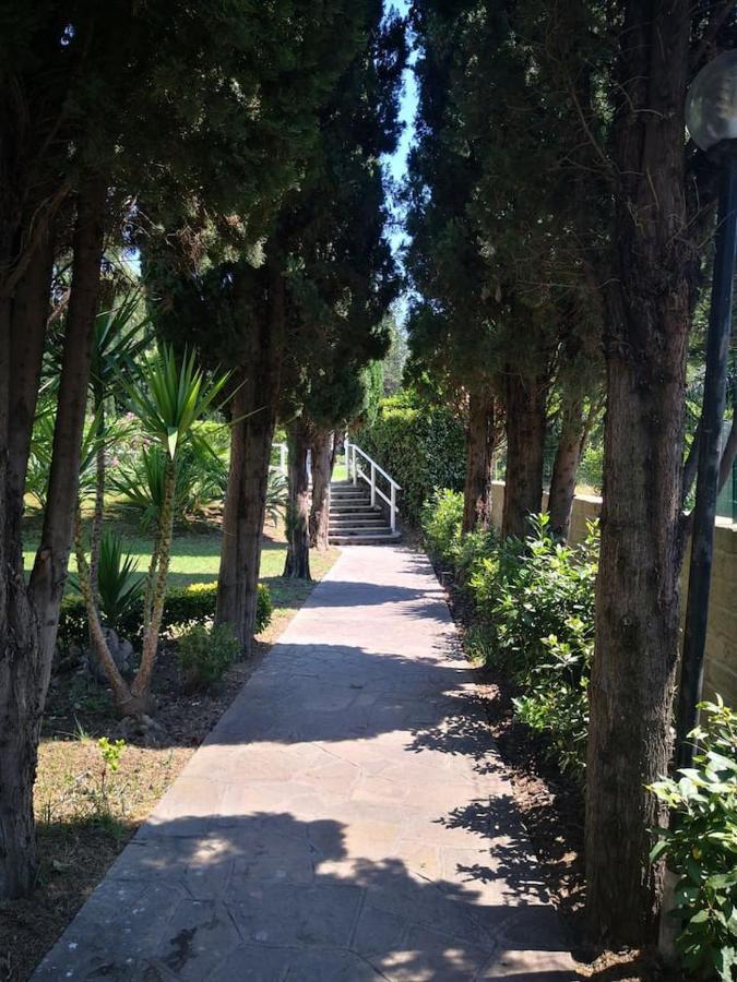 Aurelia City Garden *
