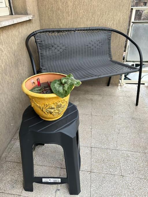 Apartamento Pochi Passi Da San Pietro Metro A Cipro Roma
