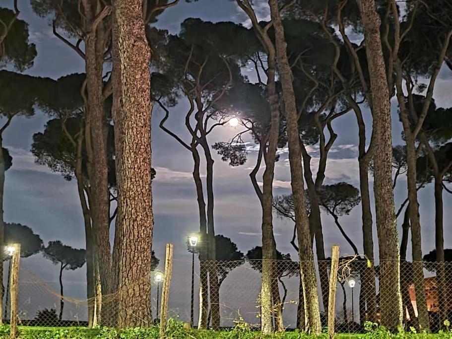 La Casa Della Pineta Сasa de vacaciones