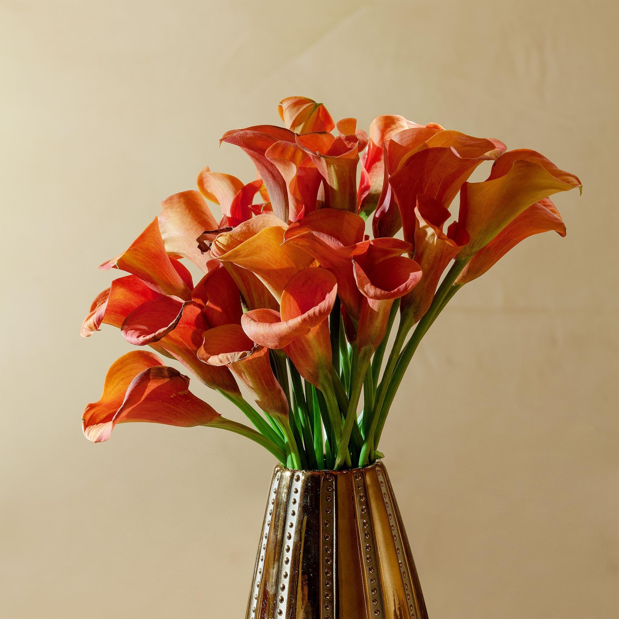 Bio Raphael - Relais & Chateaux Hotel Rome