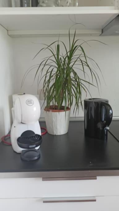 Boutique Vicino San Pietro Apartamento Roma