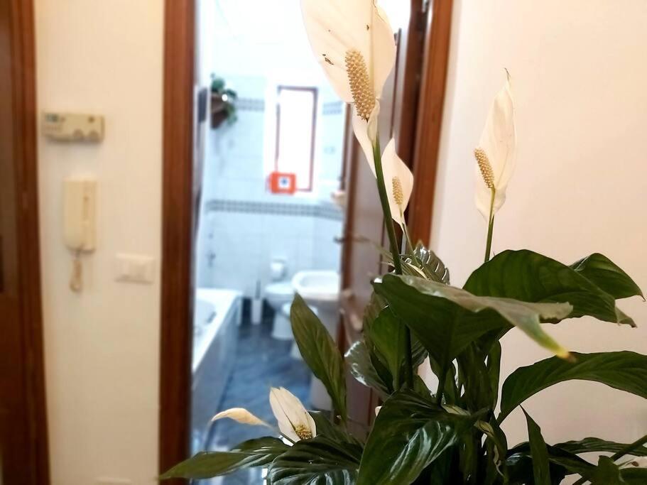 Al Colosseo Apartment Rome
