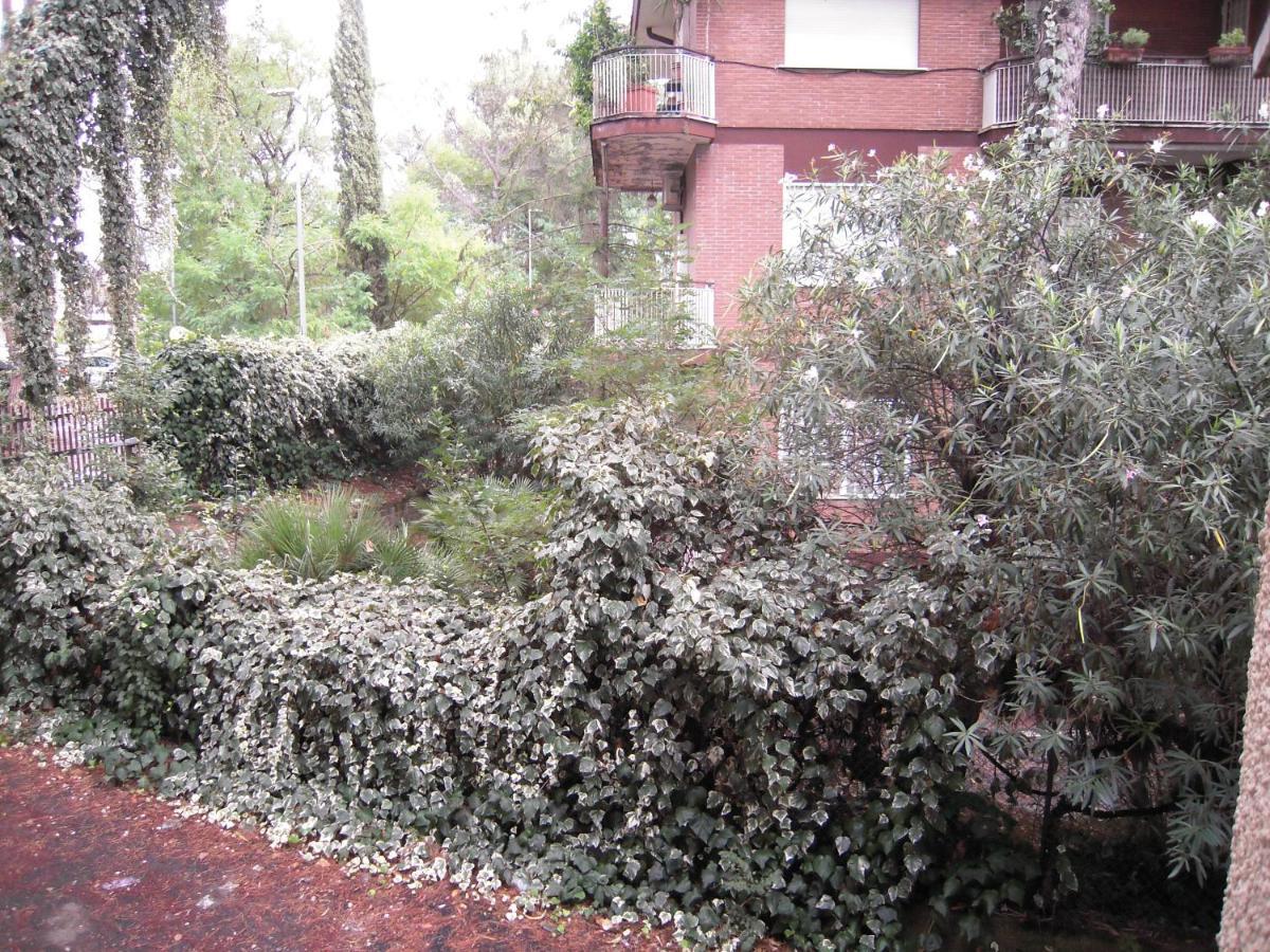 Cassia * Roma