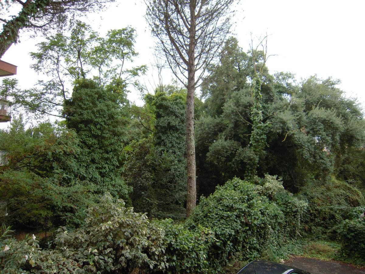 Cassia Roma