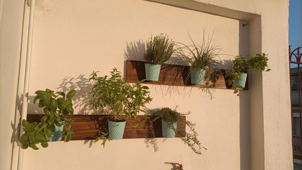 Domus Vacanze Romane Roma