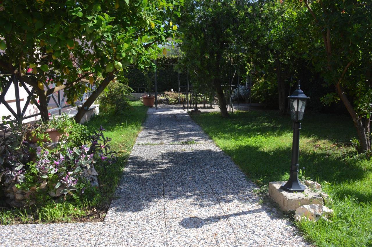 L'oasi Delle Vigne